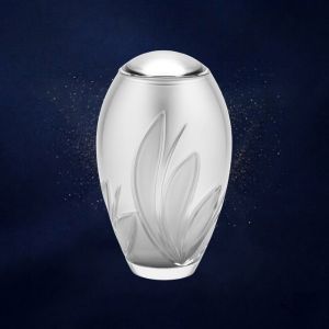 Glas