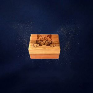 Hout